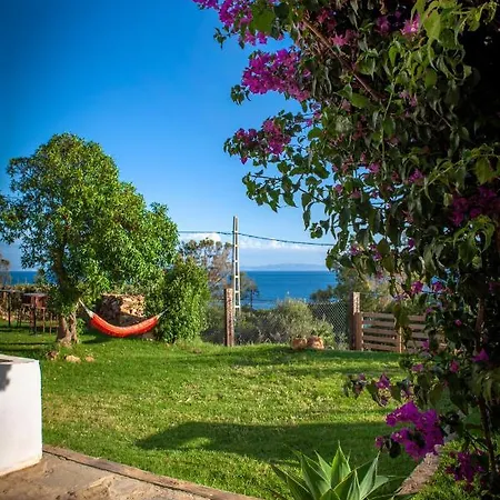 Hostel Wild House Tarifa