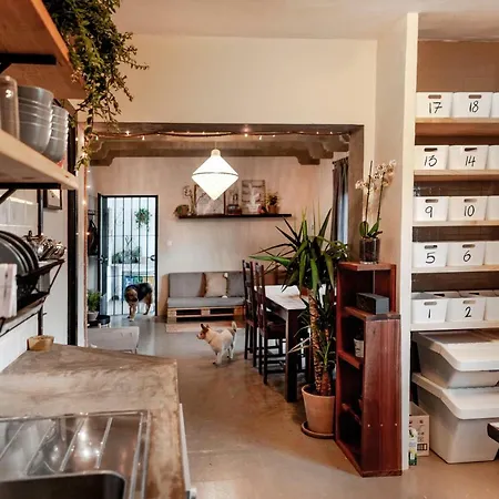 Ostello Wild House