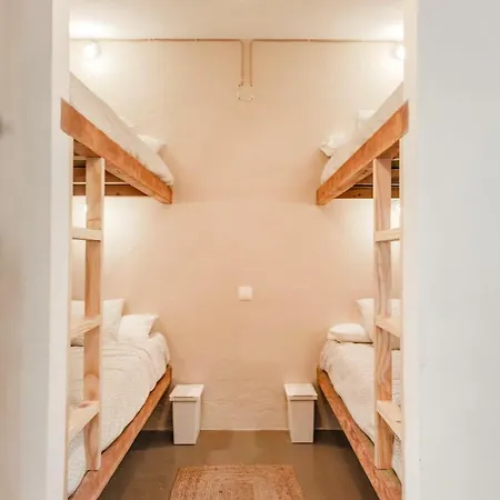 Wild House 타리파