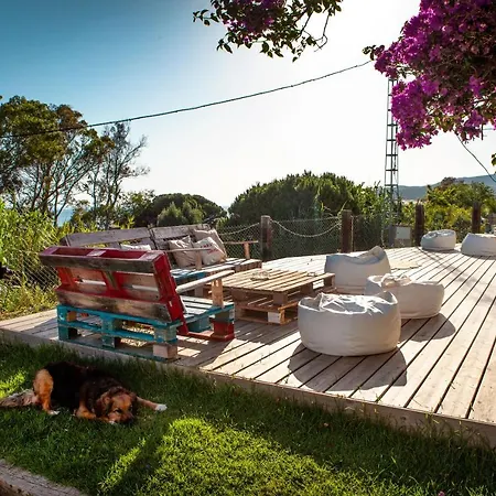 Hostel Wild House
