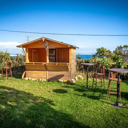 Wild House Hostel *
