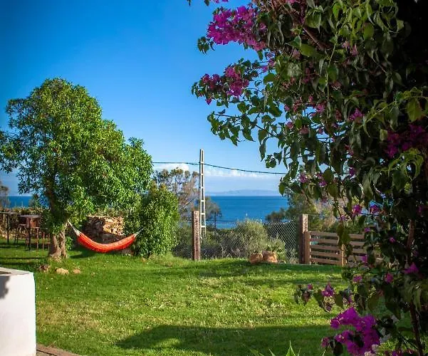 Hostel Wild House Ταρίφα