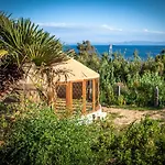 Hostel Wild House Tarifa