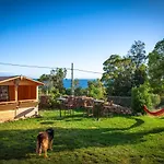 Wild House Hostel *