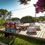 Hostel Wild House