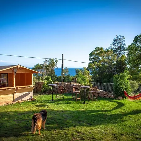 Wild House Hostel *