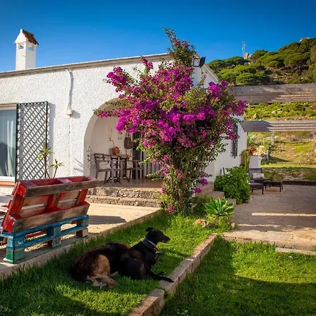 Wild House Hostel Tarifa